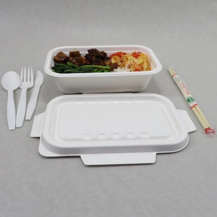 Konferencia zdieľania kufríkov Bagasse na riade Shenglin Packaging