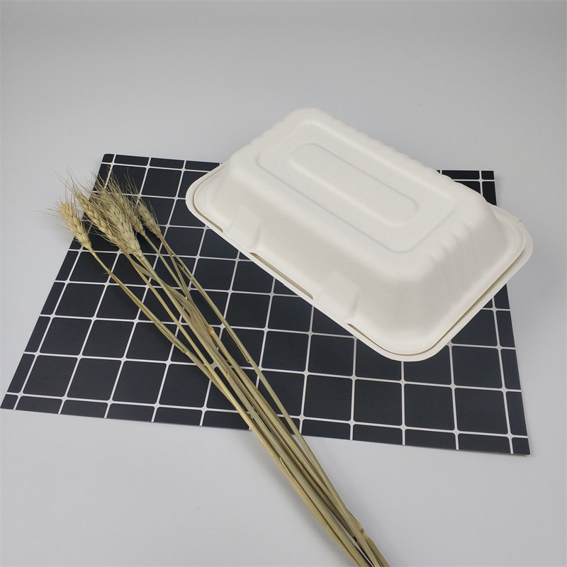 Biologicky odbúrateľná jednorazová bagasa z cukrovej trstiny 9 * 6 palcov To Go Food Box